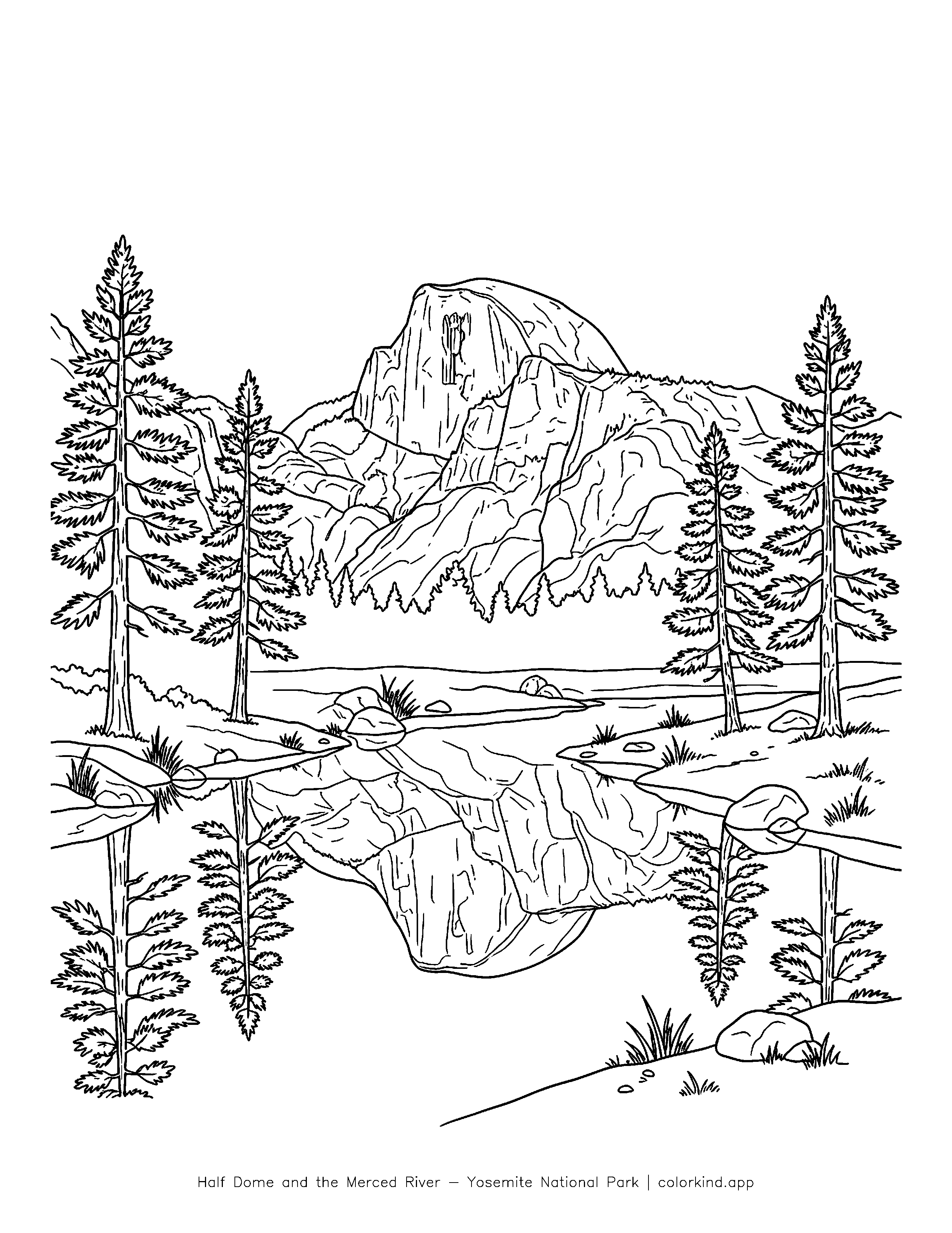Half Dome and pine trees reflected in the Merced River in a black-and-white coloring illustration
